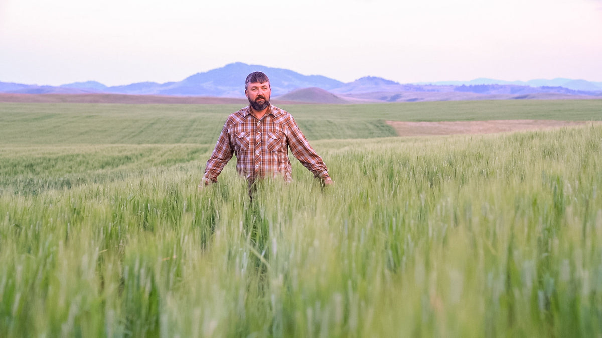 About – Gruff Grains